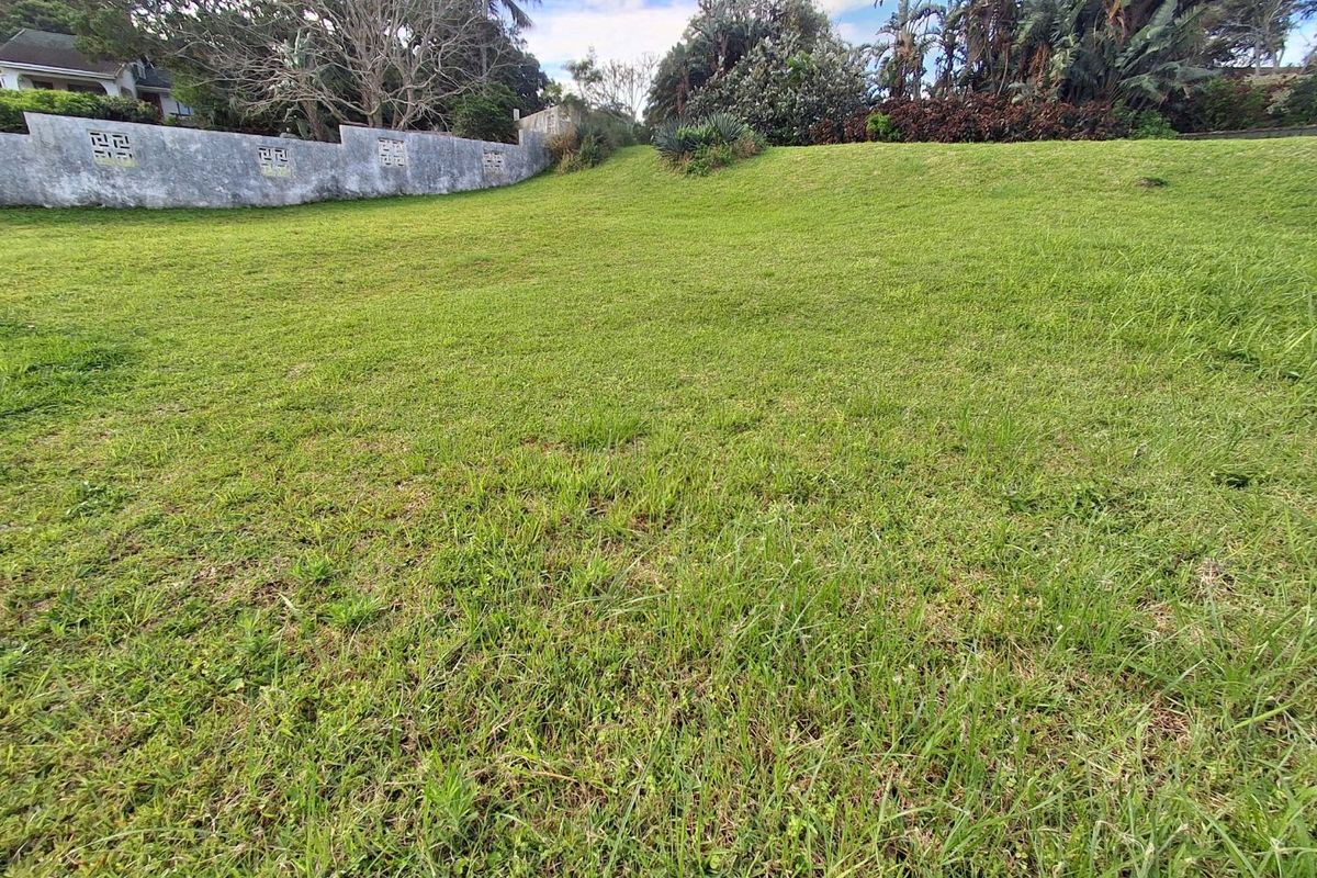 A view of the vacant residential land featuring a grassy slope and a perimeter retaining wall with established surrounding vegetation.
