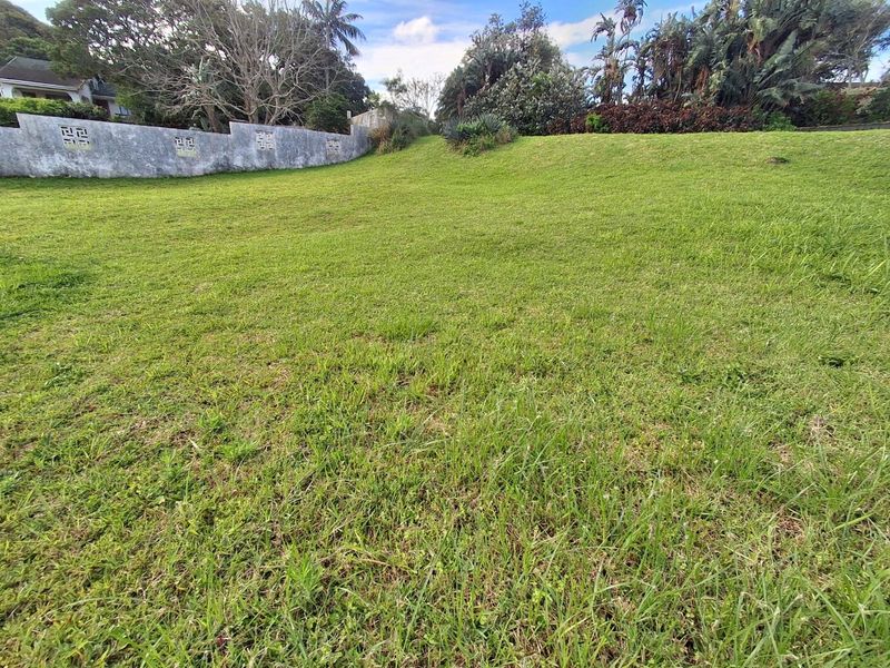 A view of the vacant residential land featuring a grassy slope and a perimeter retaining wall with established surrounding vegetation.