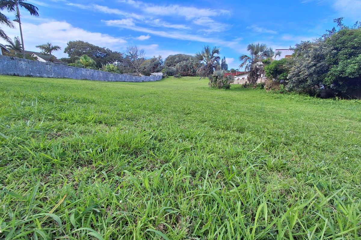 A spacious, grass-covered residential plot featuring mature trees and a perimeter boundary wall, offering a clear area for potential development.