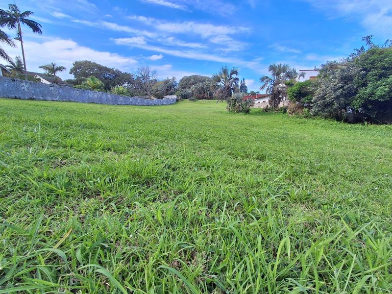 A spacious, grass-covered residential plot featuring mature trees and a perimeter boundary wall, offering a clear area for potential development.