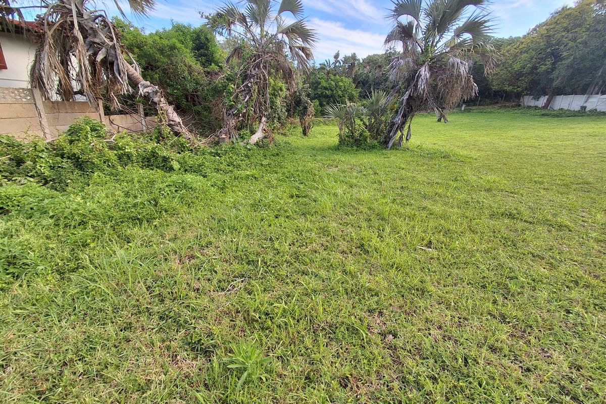A spacious, grass-covered residential plot featuring mature palm trees and perimeter boundary walls, offering a blank canvas for future development.