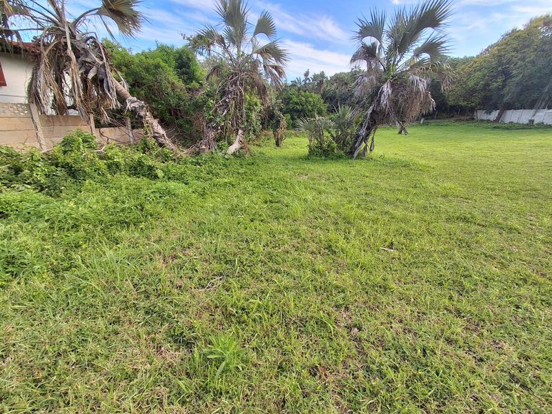 A spacious, grass-covered residential plot featuring mature palm trees and perimeter boundary walls, offering a blank canvas for future development.
