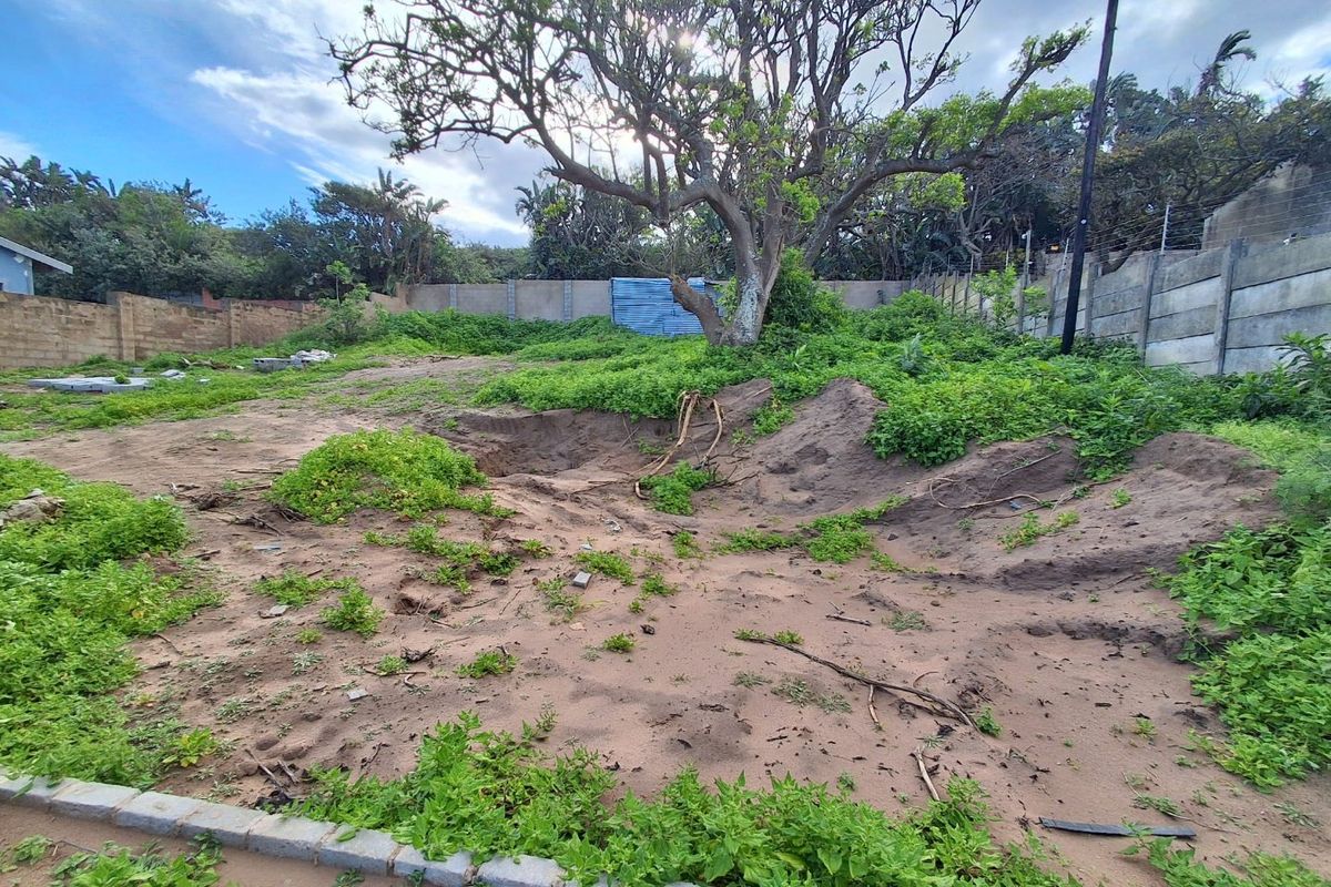 A vacant residential plot featuring a mature tree, perimeter walling, and uneven, overgrown ground requiring clearing and landscaping.