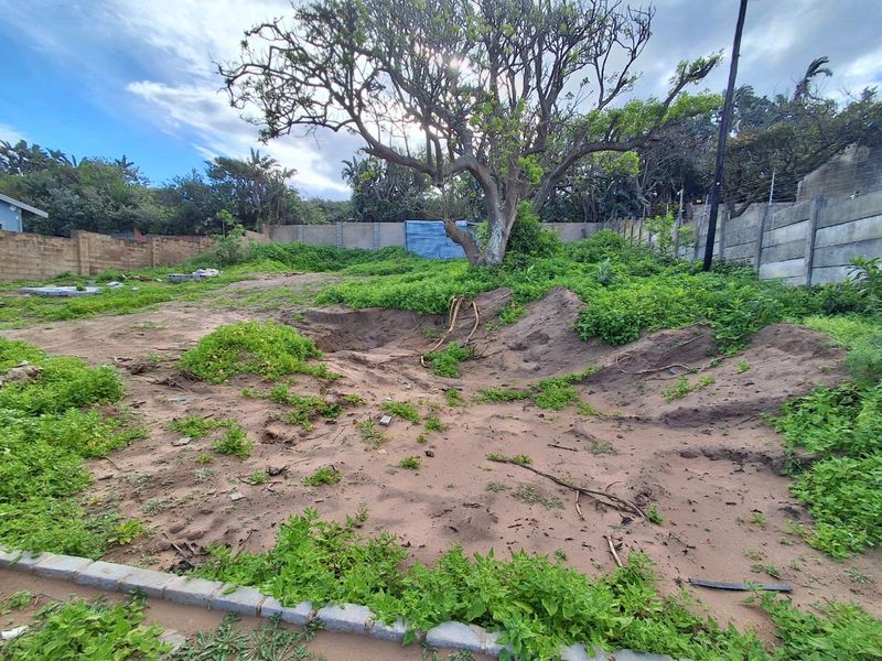 A vacant residential plot featuring a mature tree, perimeter walling, and uneven, overgrown ground requiring clearing and landscaping.