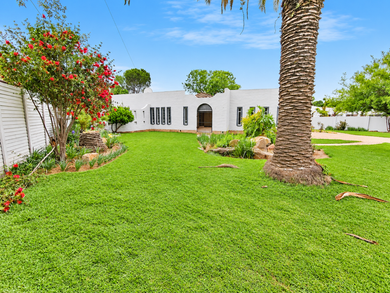 A well-maintained rear garden featuring a lush green lawn, mature palm tree, and established landscaping, providing a private outdoor space.