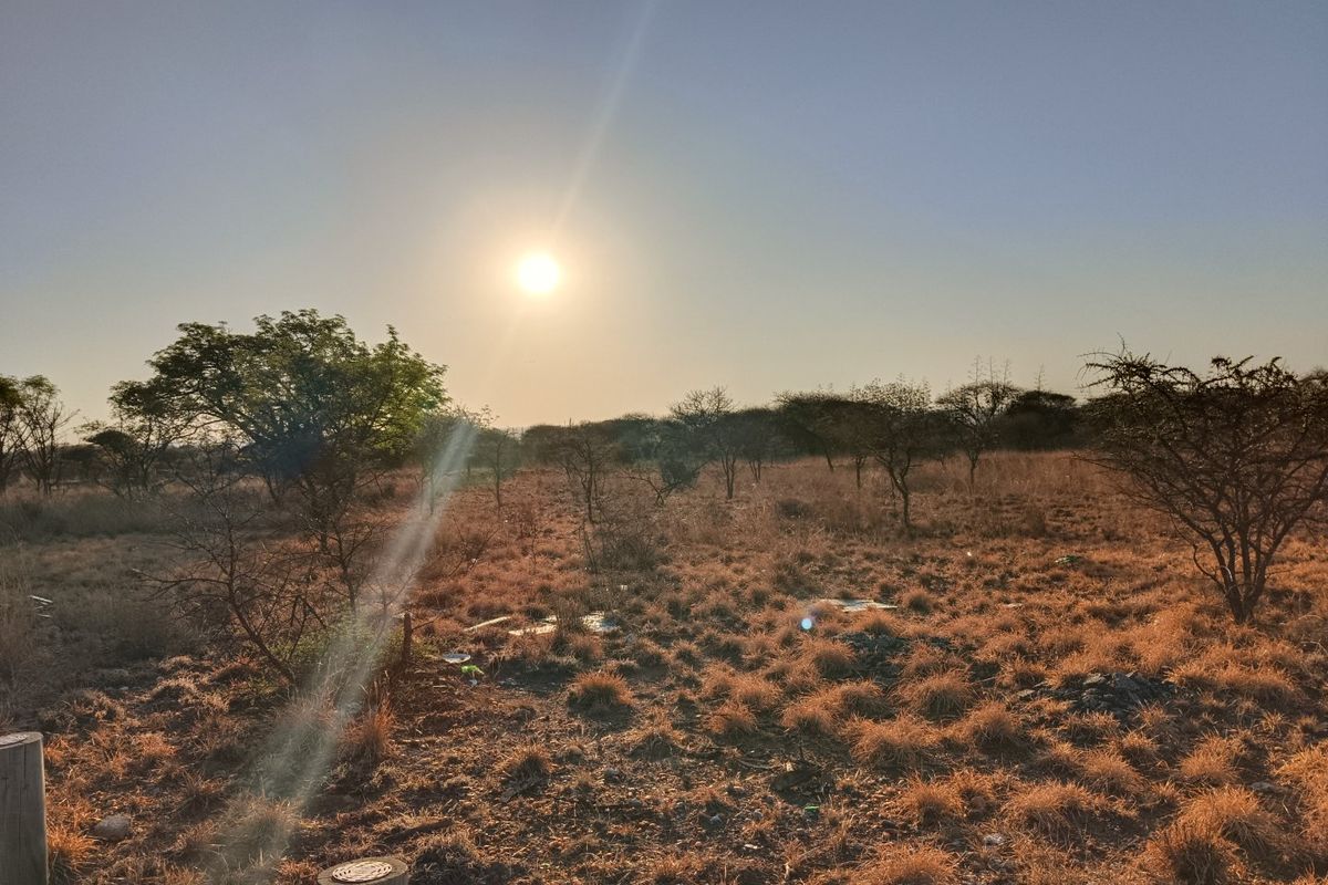A view of the vacant residential land featuring natural dry vegetation and scattered trees under a clear sky.
