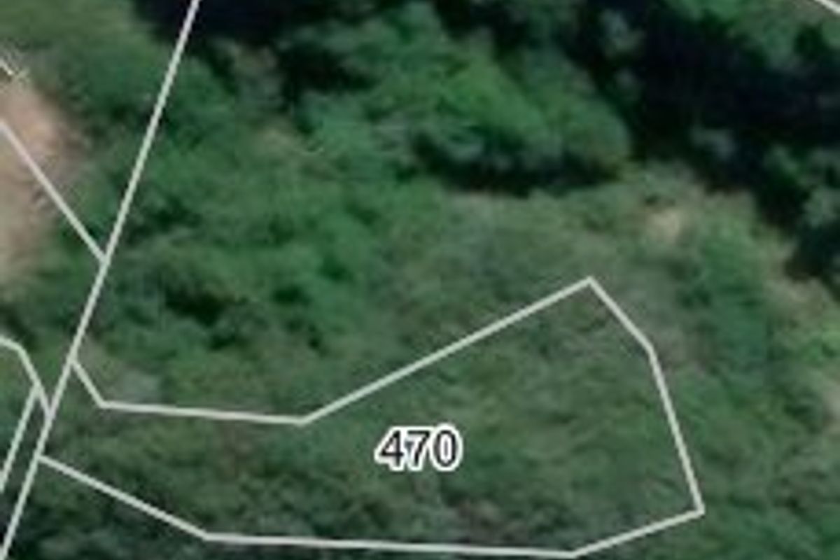 An aerial view showing the boundary lines of a vacant residential plot covered in dense vegetation.