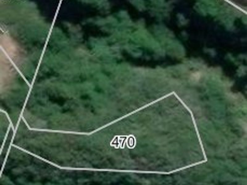 An aerial view showing the boundary lines of a vacant residential plot covered in dense vegetation.