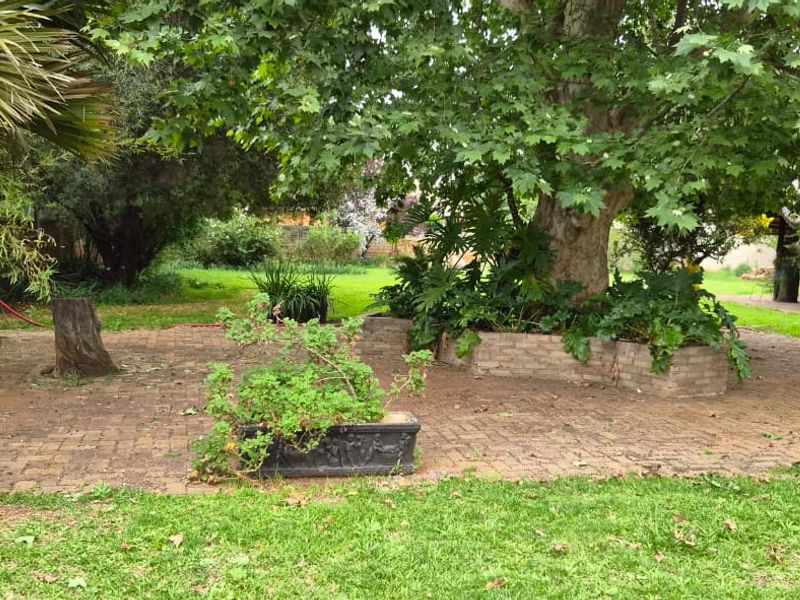 A spacious garden area featuring mature trees, established brick paving, and a brick planter box, offering a natural and shaded outdoor setting.