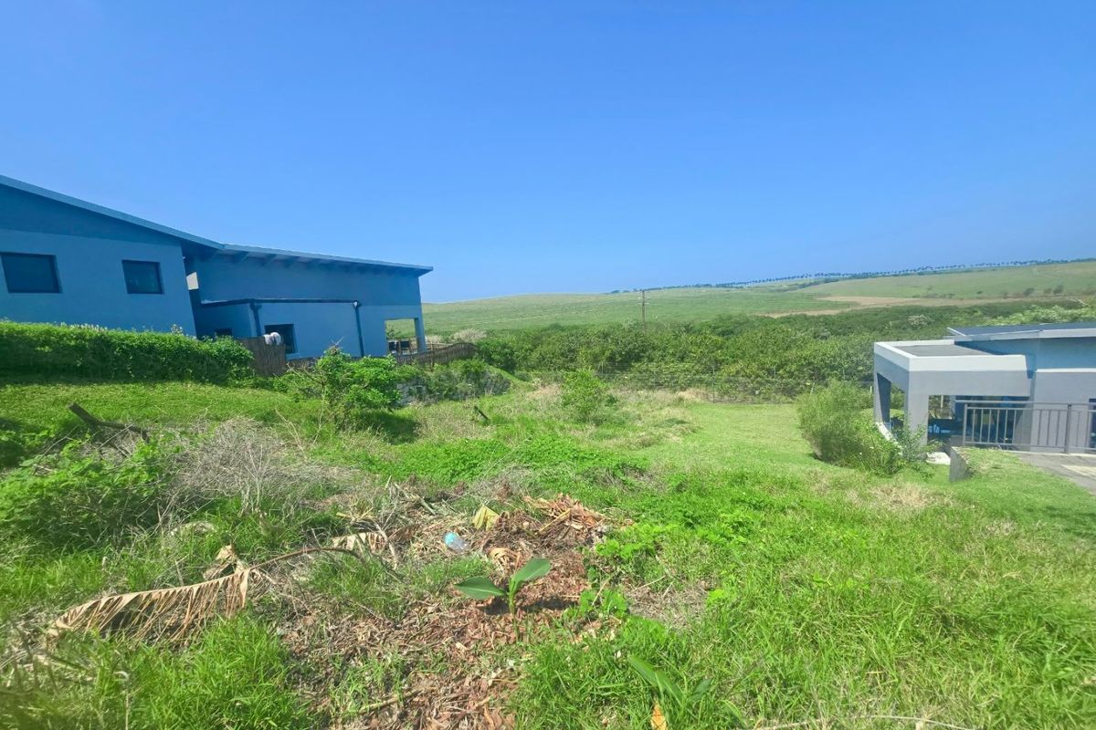A view of the rear yard area featuring sloped grass, natural vegetation, and surrounding residential structures under a clear blue sky.
