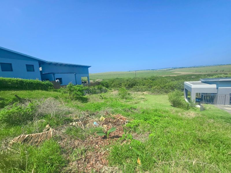 A view of the rear yard area featuring sloped grass, natural vegetation, and surrounding residential structures under a clear blue sky.