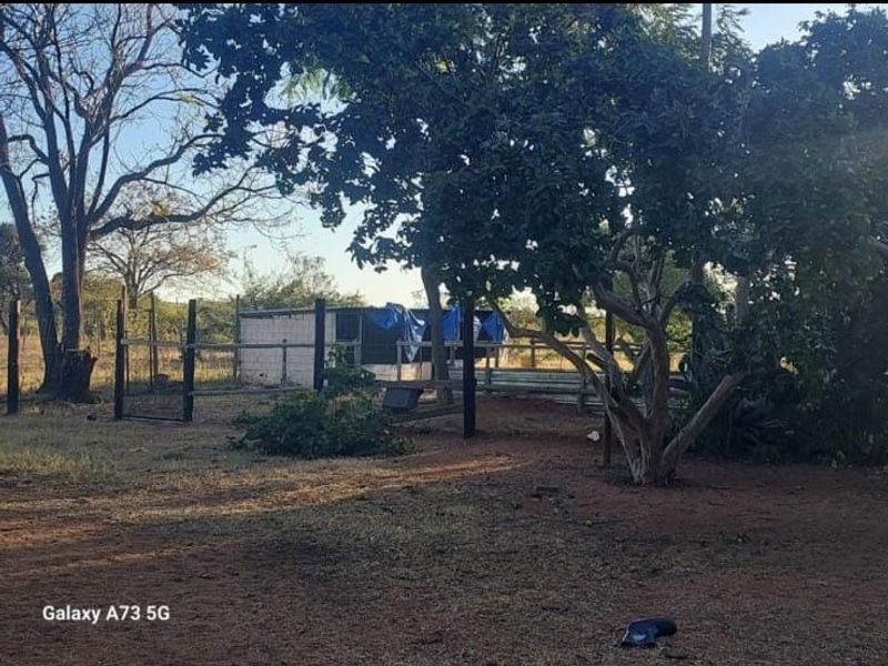 A view of the farm garden featuring mature trees, perimeter fencing, and a small outbuilding structure in need of maintenance.