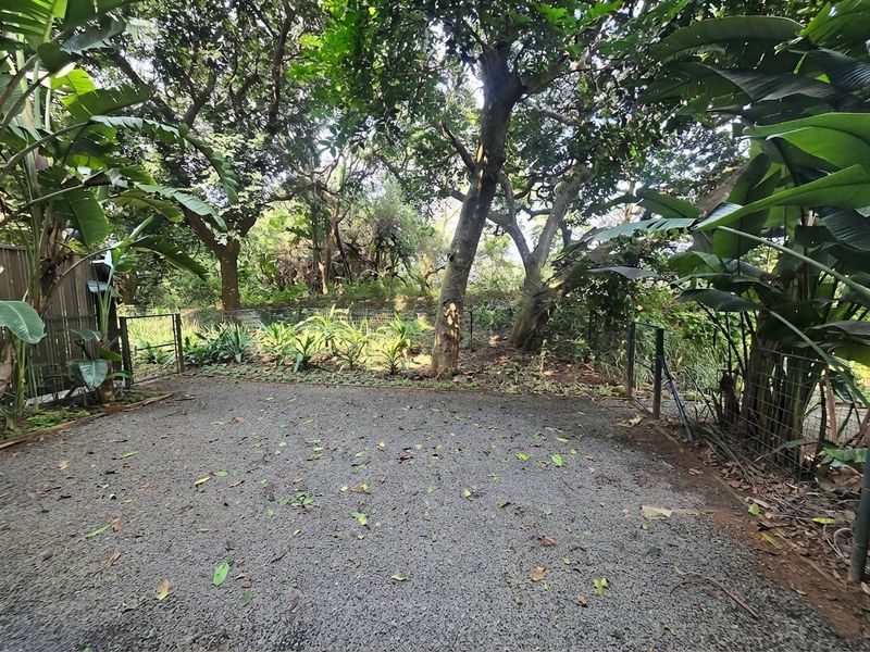 A private outdoor garden area featuring a gravel surface, wire fencing, and mature trees providing natural shade and privacy.
