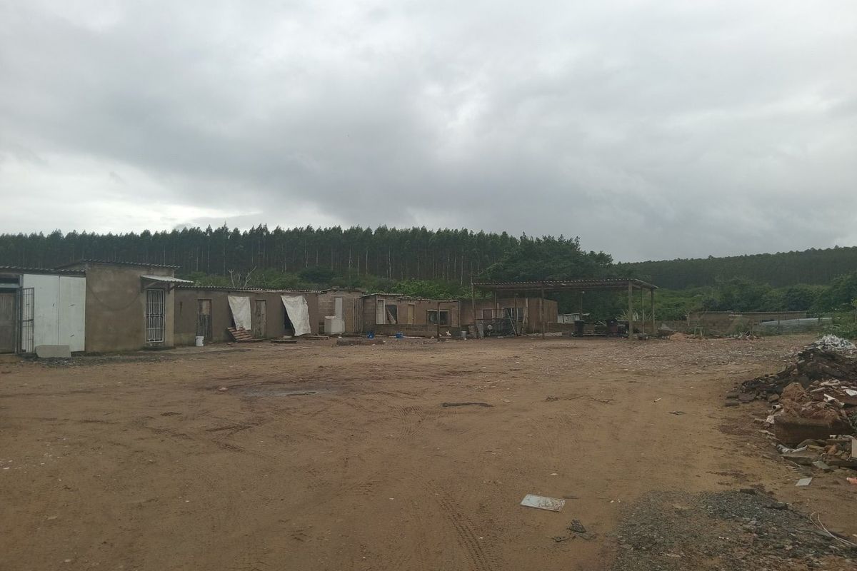 An expansive outdoor area featuring multiple basic outbuildings and a covered structure, set against a backdrop of trees on a large, unpaved plot.
