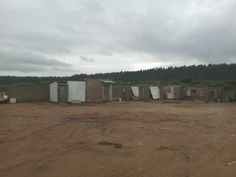 A view of a rear exterior area featuring a series of basic, weathered structures with unfinished walls and a large, unpaved dirt yard.