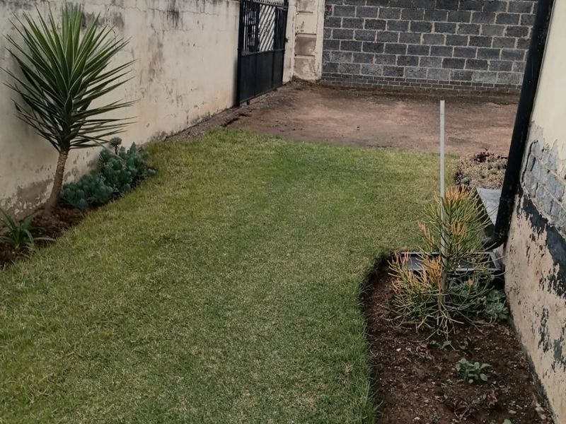 A rear garden area featuring a lawn, garden beds, and boundary walls requiring maintenance and cosmetic repair.