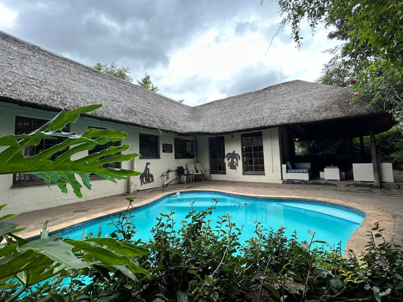 Outdoor pool area featuring a swimming pool, paved patio, and a covered veranda under a traditional thatch roof.