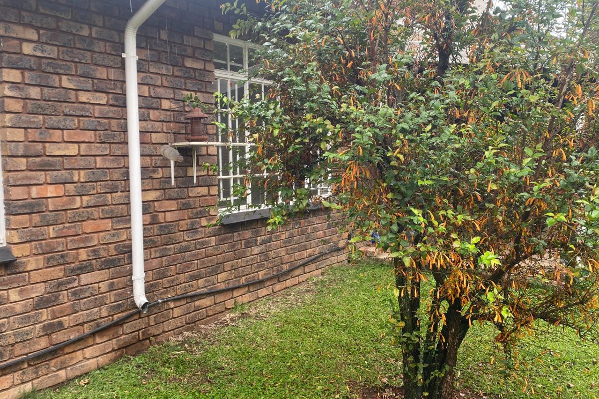 A view of the rear face brick exterior wall featuring white window frames with security bars and a functional downpipe system.