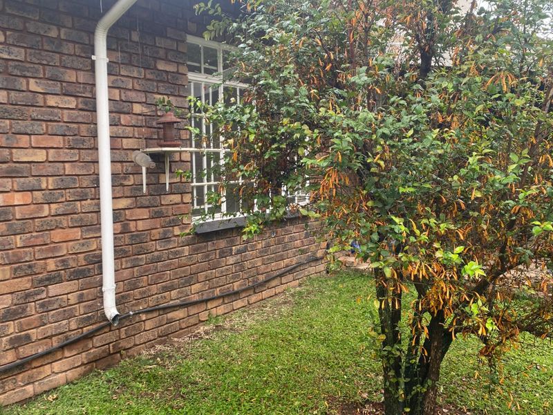 A view of the rear face brick exterior wall featuring white window frames with security bars and a functional downpipe system.