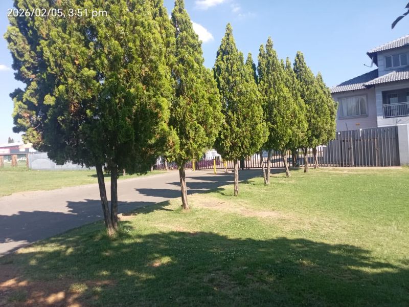 A view of the property exterior featuring a paved driveway, well-maintained lawn, and mature trees leading towards the residential building.