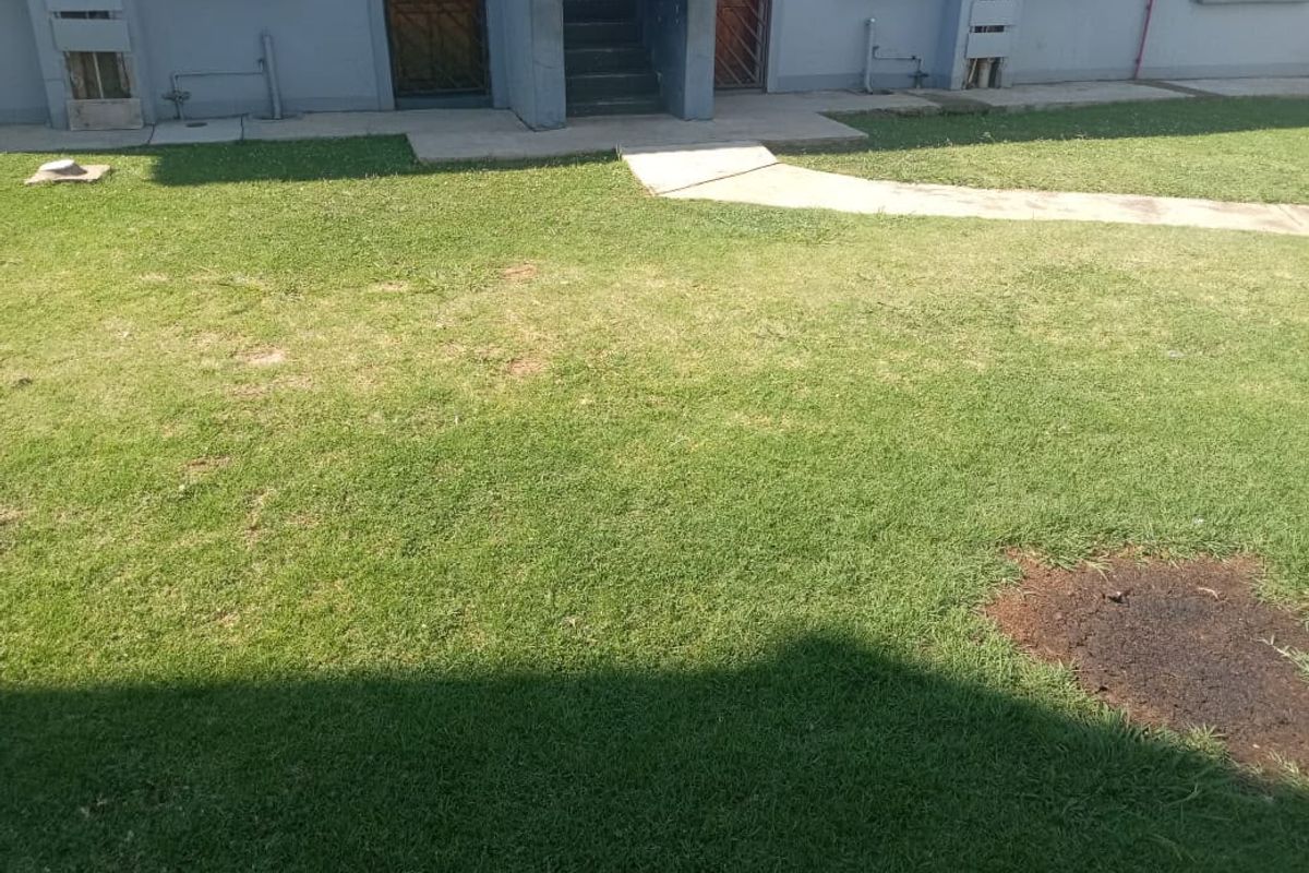 A view of the rear exterior area featuring a lawn, concrete pathway, and access to the building's entrance with security gates.