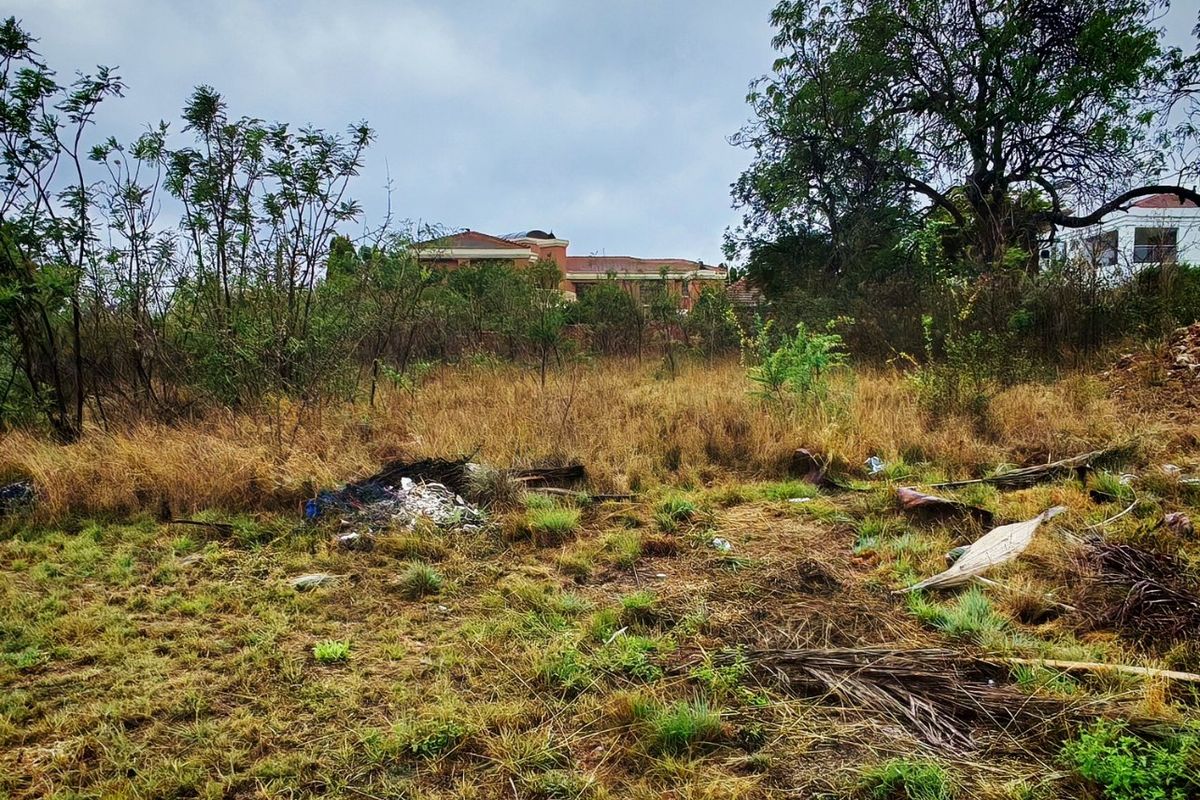 A view of an undeveloped residential plot featuring overgrown grass, mature trees, and scattered debris, with neighboring properties visible in the background.