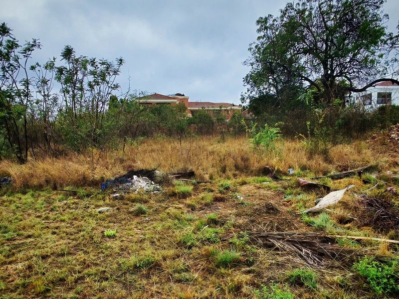 A view of an undeveloped residential plot featuring overgrown grass, mature trees, and scattered debris, with neighboring properties visible in the background.
