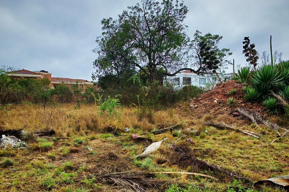 A view of a vacant residential plot featuring overgrown grass, natural vegetation, and mature trees, showing the current undeveloped state of the land.
