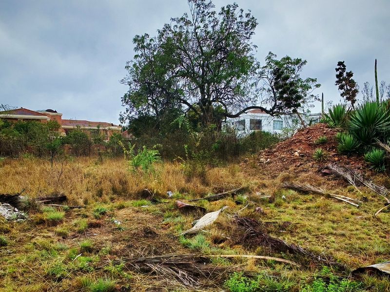 A view of a vacant residential plot featuring overgrown grass, natural vegetation, and mature trees, showing the current undeveloped state of the land.