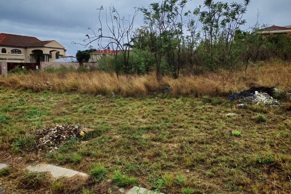 A vacant residential plot featuring overgrown grass and shrubs, bordered by a concrete curb, situated in an established neighborhood.