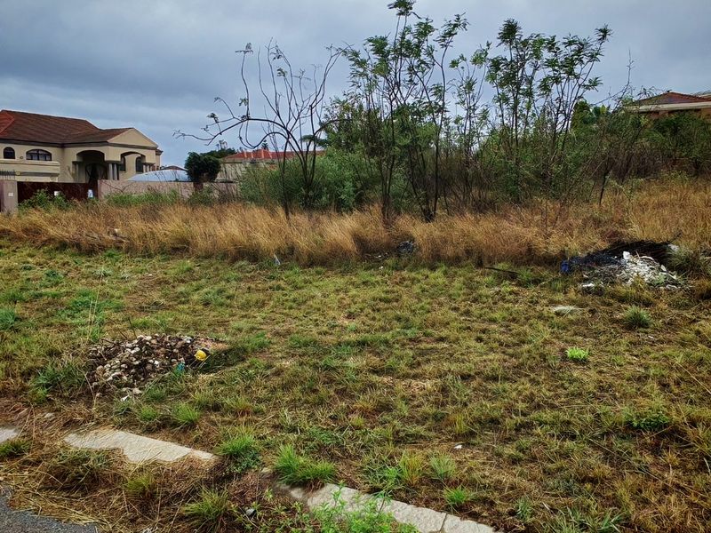 A vacant residential plot featuring overgrown grass and shrubs, bordered by a concrete curb, situated in an established neighborhood.