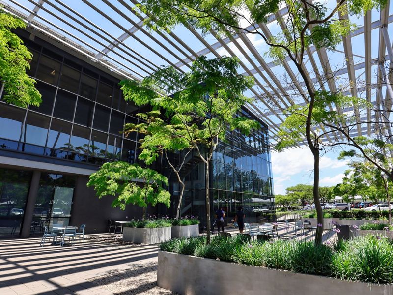 Modern commercial outdoor patio area featuring a large metal pergola, extensive glass facade, and integrated concrete planters with established landscaping.