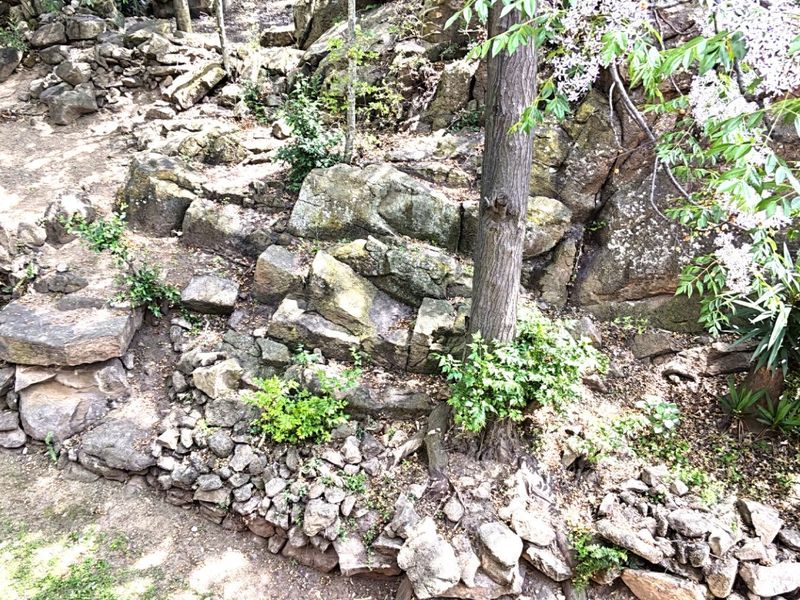 A naturalistic terraced garden area featuring stone retaining walls, rockery landscaping, and established trees.