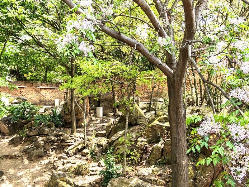 A landscaped garden area featuring mature trees, natural rock formations, and a brick boundary wall.
