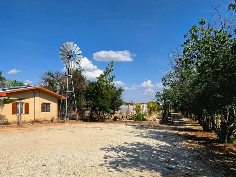 A spacious outdoor area featuring a traditional metal windmill, a gravel driveway, and a greenhouse set within a rural landscape.
