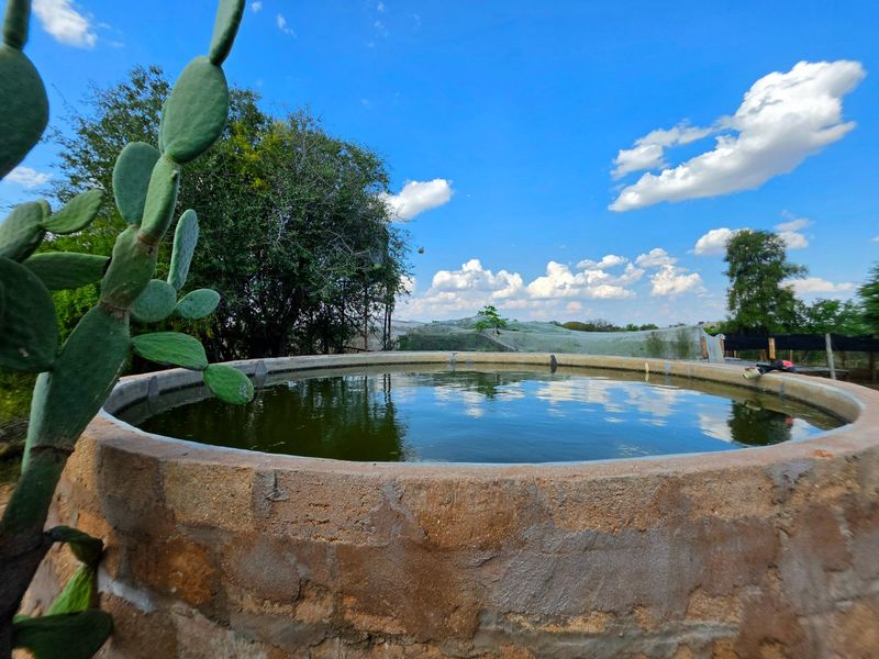 A circular concrete water reservoir situated in an outdoor garden setting under a clear blue sky.