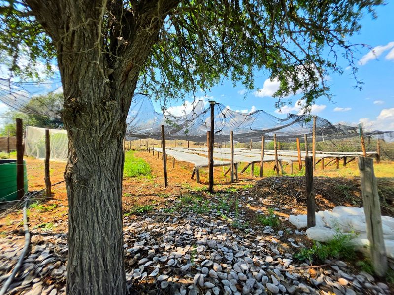 An outdoor agricultural area featuring shade netting structures supported by wooden posts, suitable for nursery or cultivation purposes.