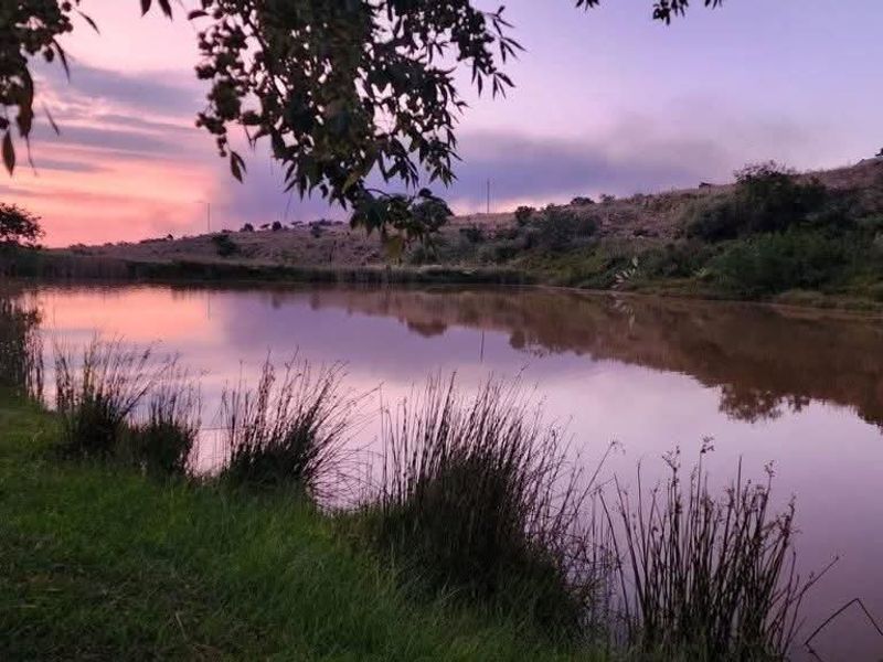 A scenic view of a tranquil pond at sunset, showcasing the natural landscape surrounding the property.