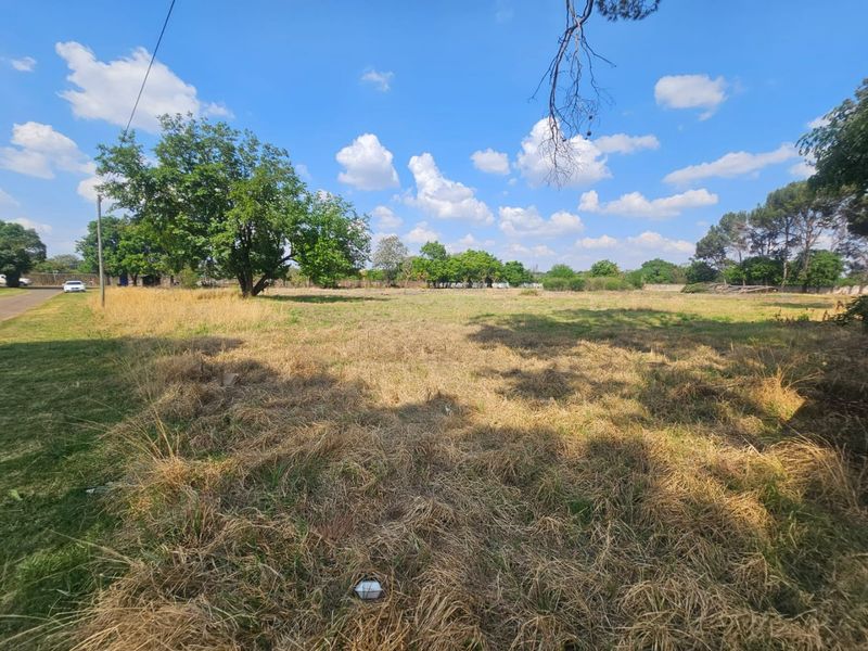 A wide-angle view of a vacant residential plot featuring mature trees and open grassland under a clear blue sky.