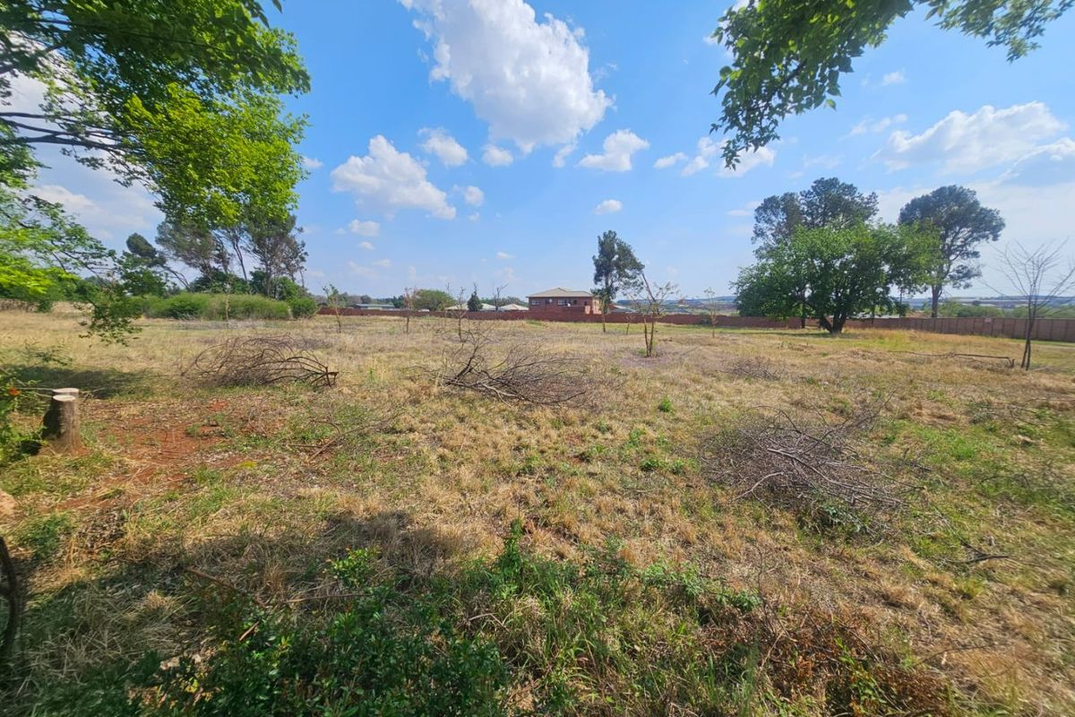 A spacious, open residential plot featuring mature trees and a perimeter boundary wall, offering a blank canvas for future development.