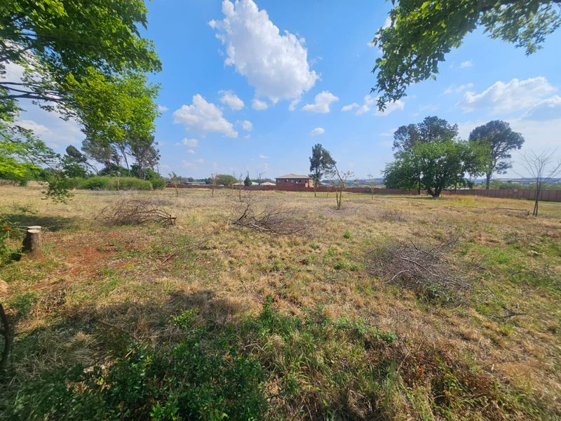 A spacious, open residential plot featuring mature trees and a perimeter boundary wall, offering a blank canvas for future development.