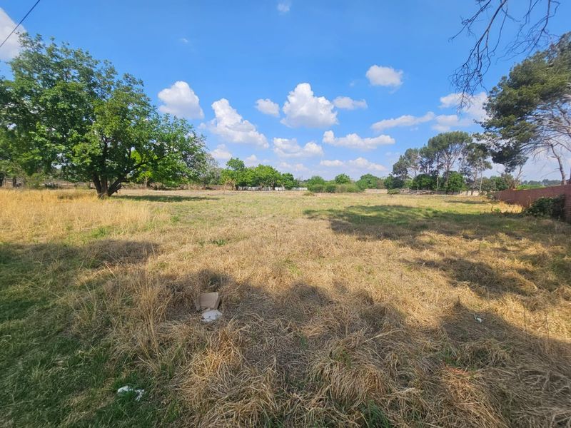 A spacious, level vacant residential plot featuring mature trees and perimeter boundary walls, offering a blank canvas for future development.
