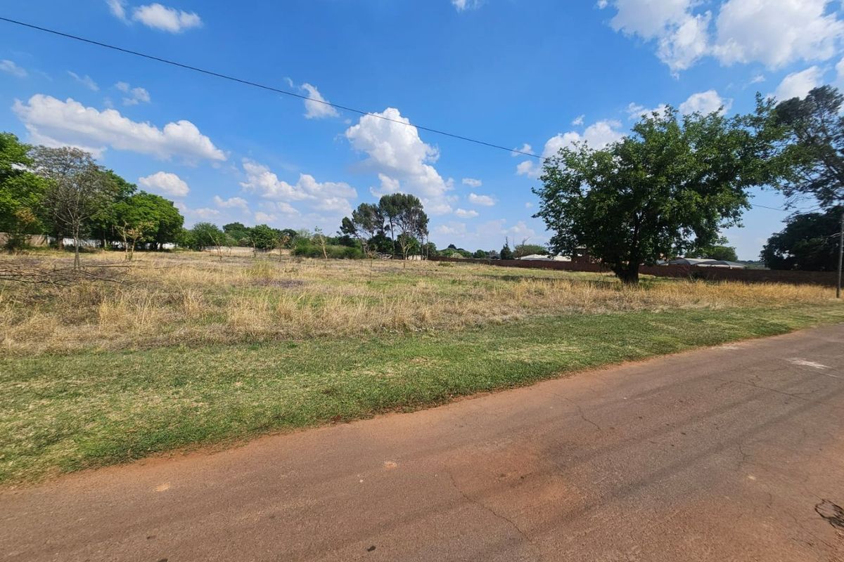 A view of the vacant residential land from the adjacent paved road, featuring established trees and perimeter boundary walling.