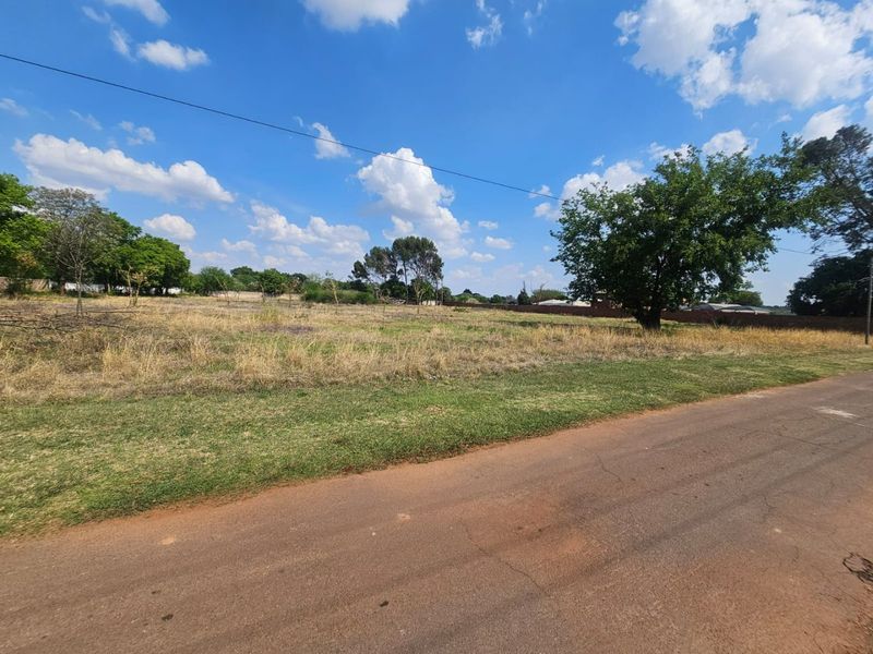 A view of the vacant residential land from the adjacent paved road, featuring established trees and perimeter boundary walling.