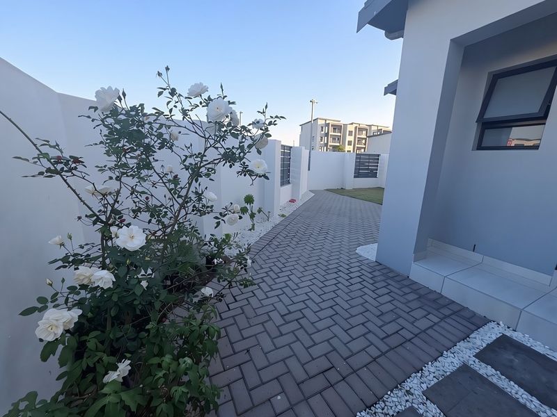 A well-maintained rear exterior area featuring a paved walkway, clean boundary walls, and a modern building facade with a top-hung window.