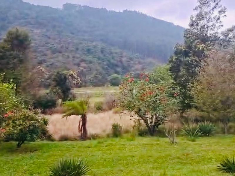 A scenic view of a lush garden with mature trees and shrubs, set against a backdrop of rolling hills and mountains.