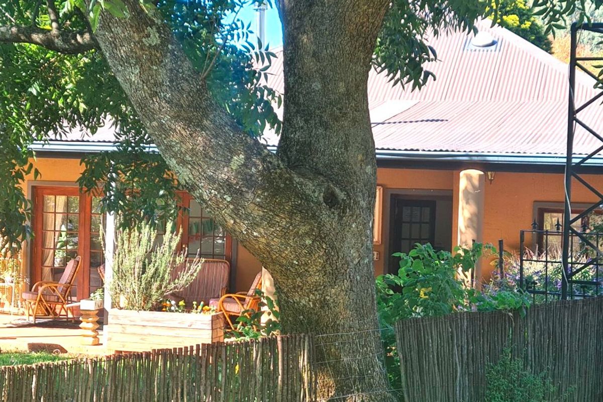 A view of the rear exterior of the house featuring a covered patio area, corrugated metal roofing, and mature garden landscaping.