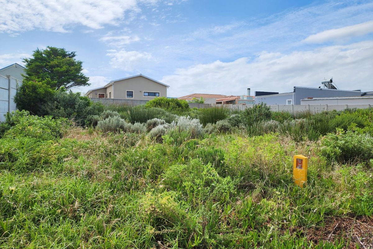 A vacant residential plot featuring natural vegetation, enclosed by precast concrete boundary walls in a developed neighborhood setting.