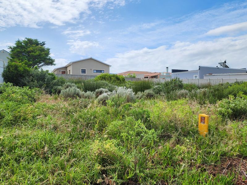 A vacant residential plot featuring natural vegetation, enclosed by precast concrete boundary walls in a developed neighborhood setting.