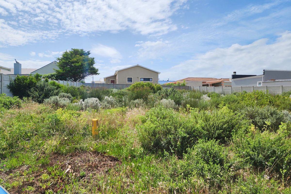 A vacant residential plot featuring established natural vegetation and enclosed by a precast concrete boundary wall.